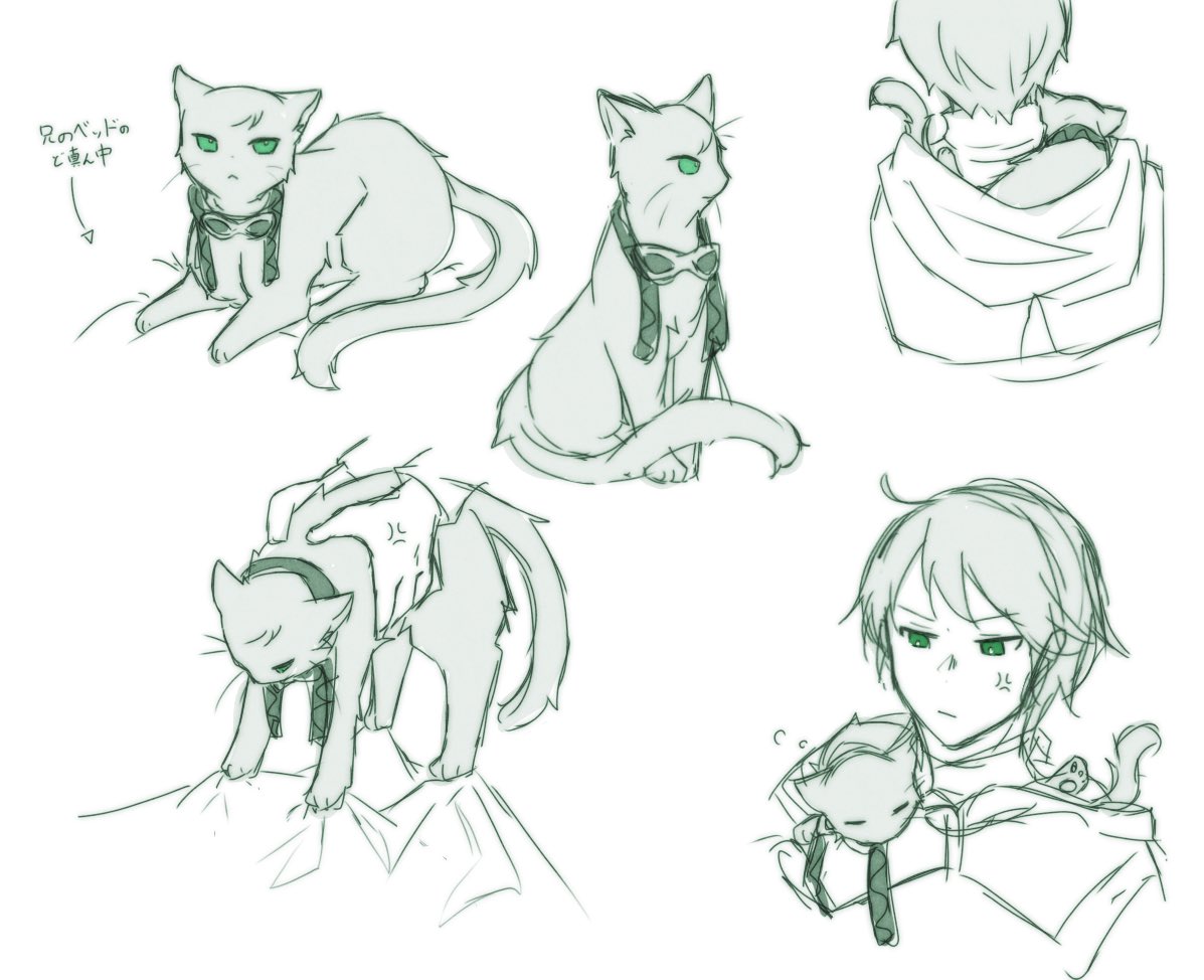 ﾏﾒ (@mamamama_me) / Posts / X