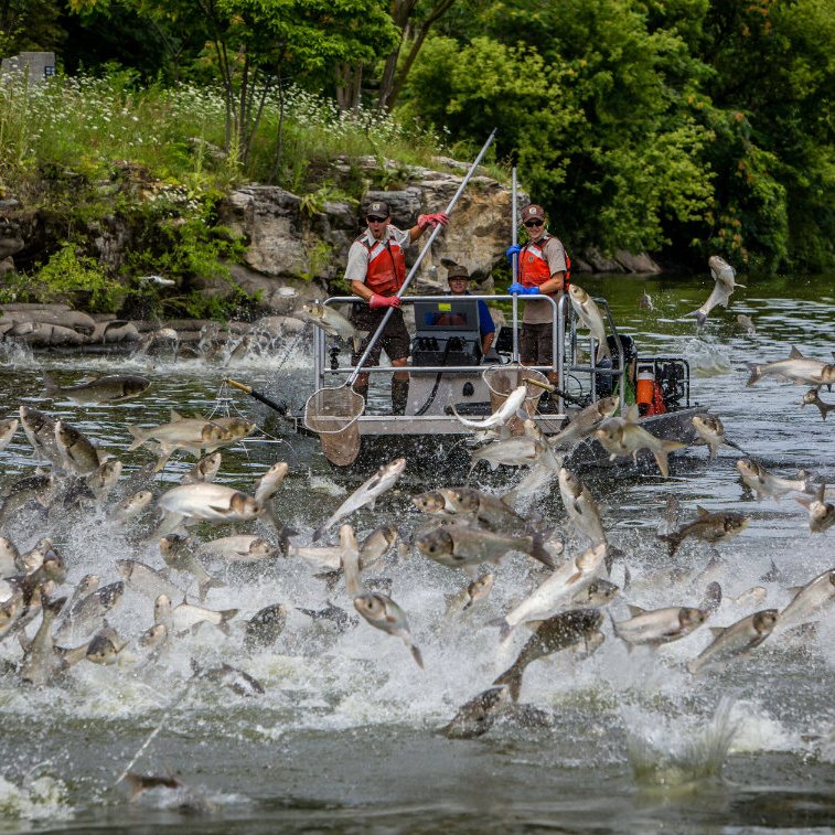 US Department of the Interior tweet media