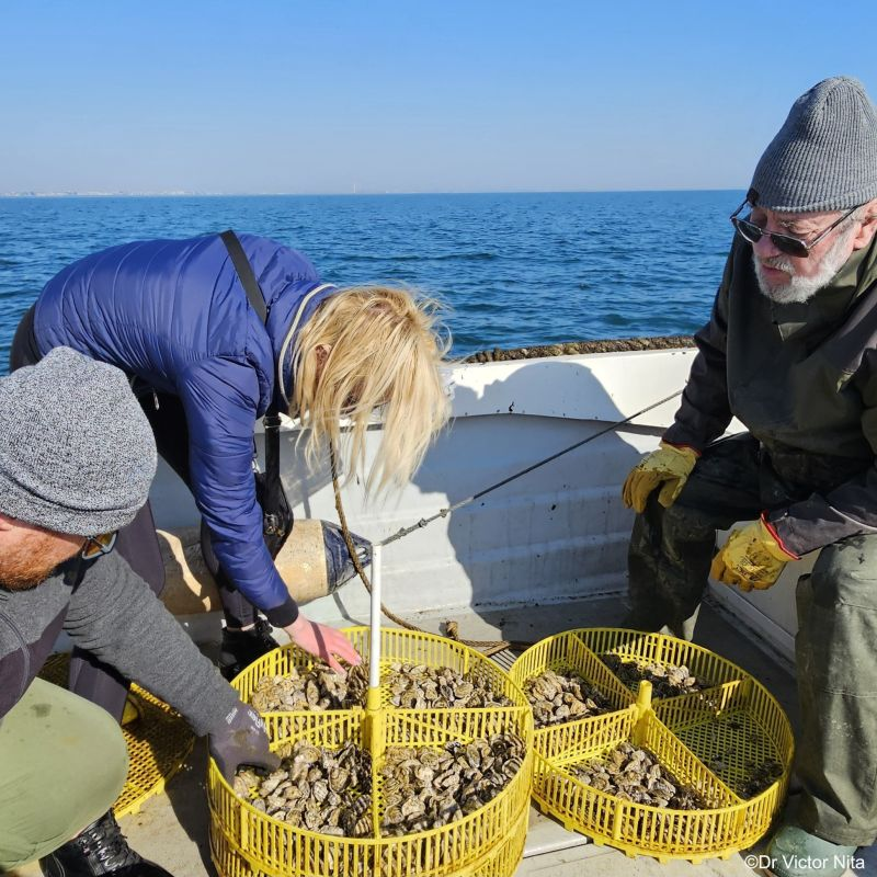 General Fisheries Commission for the Mediterranean tweet media