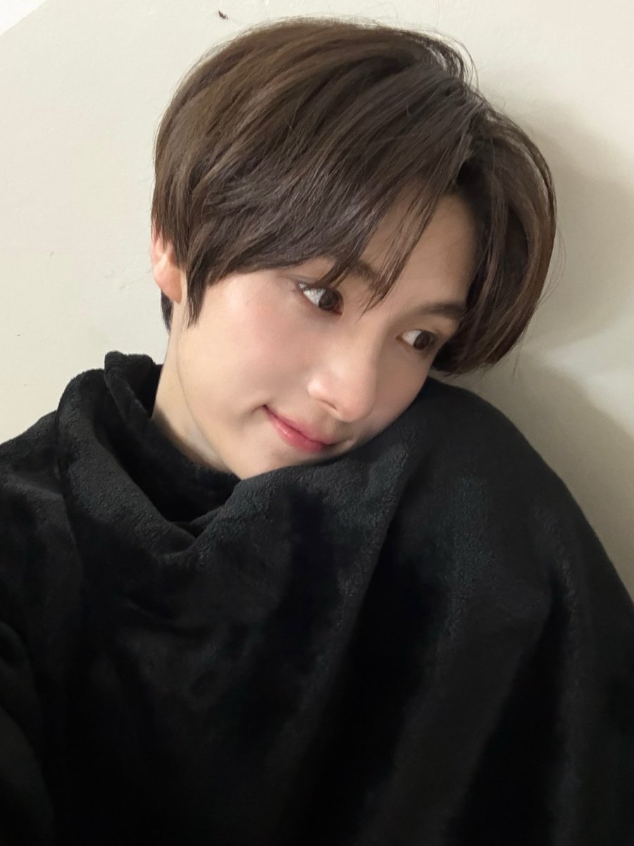 빵먹는빵벌레 tweet media