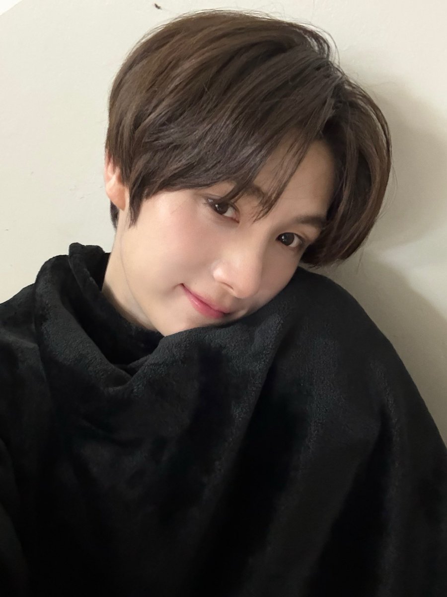 빵먹는빵벌레 tweet media