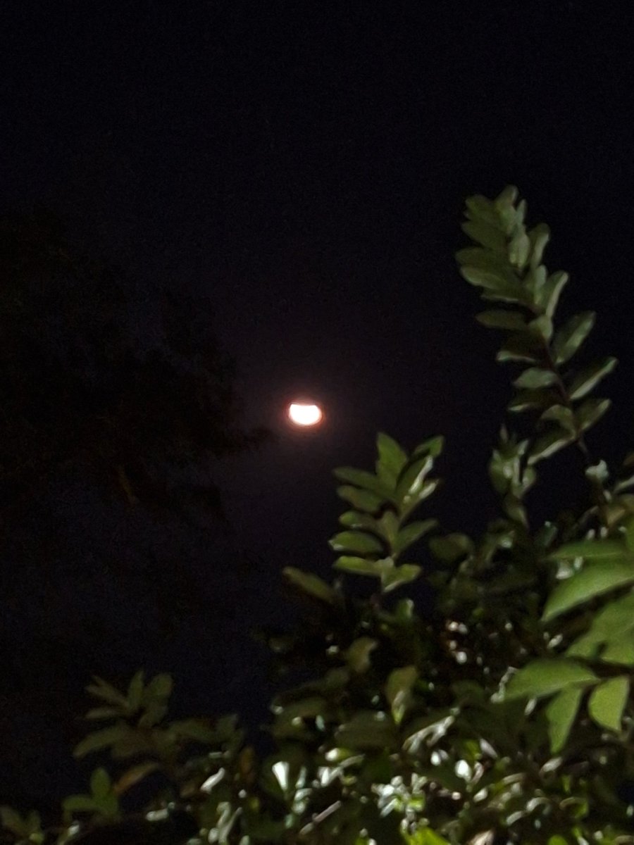 far things are always beautiful : )