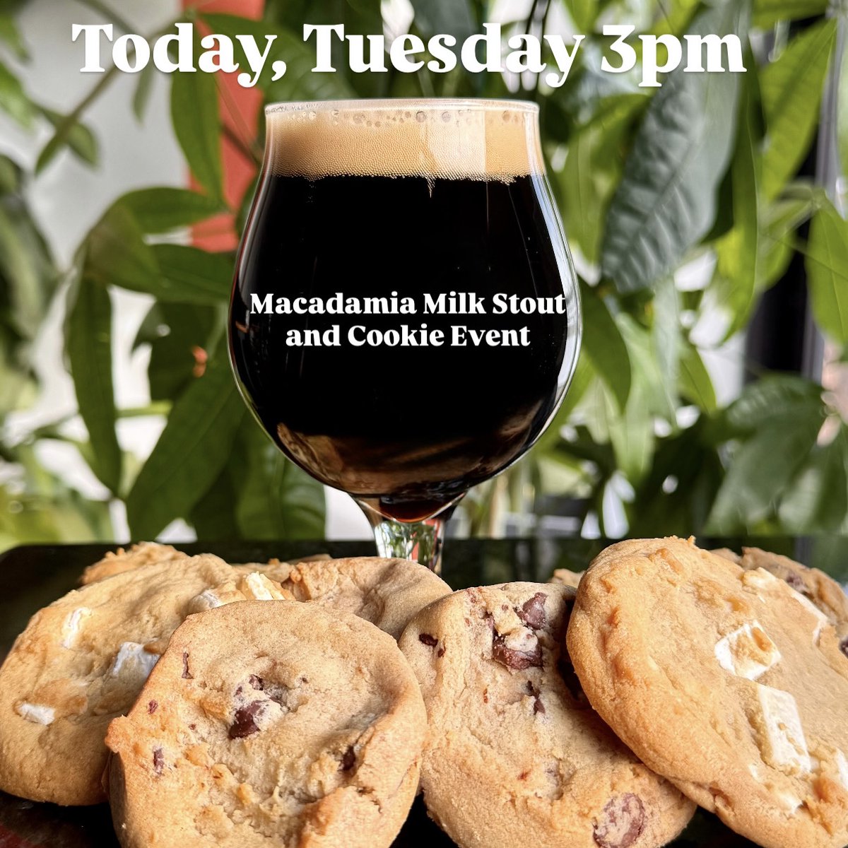 Monolithic Brewing tweet media