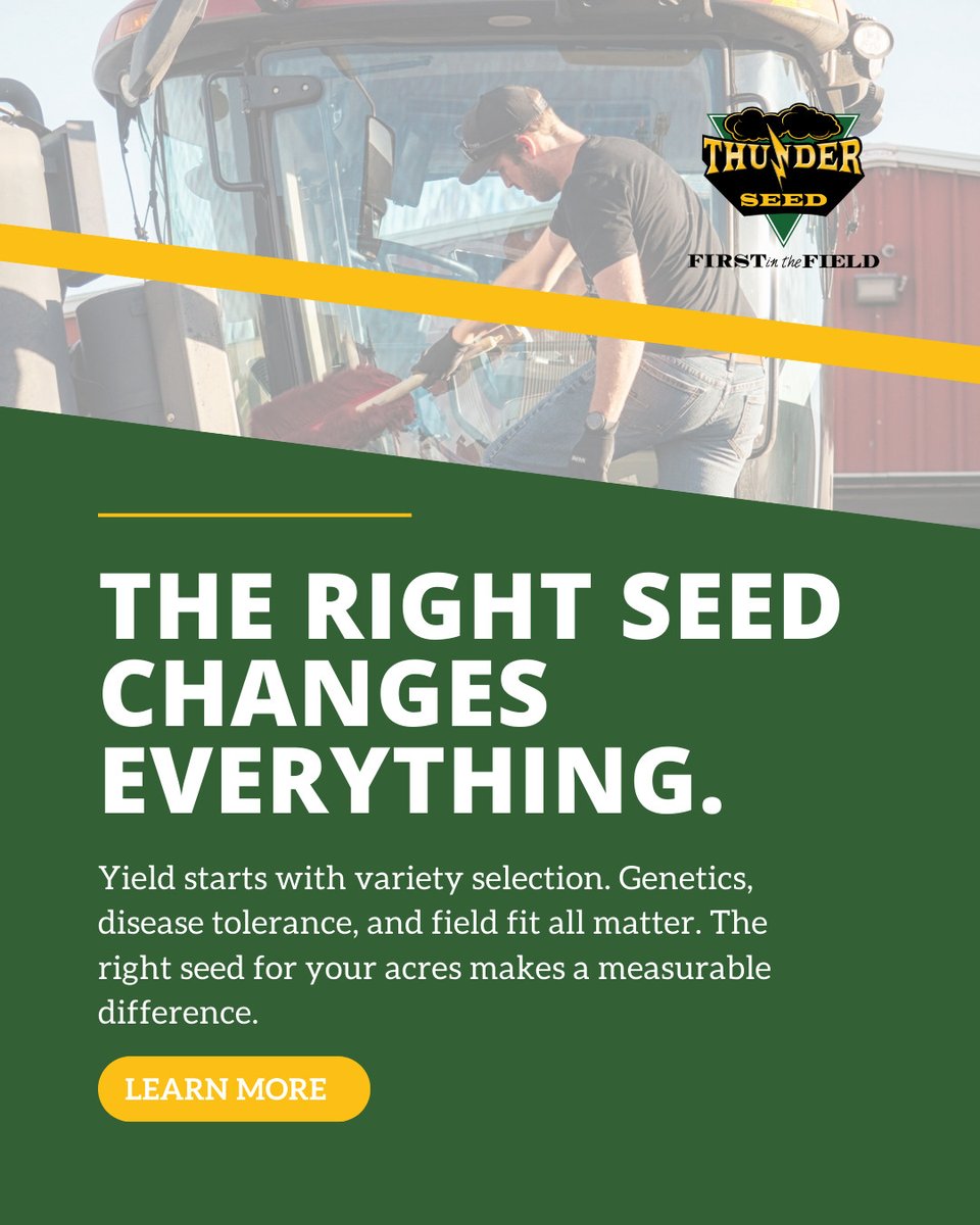 Thunder Seed tweet media