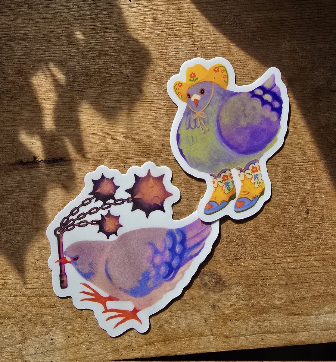 Masha the pigeon tweet media