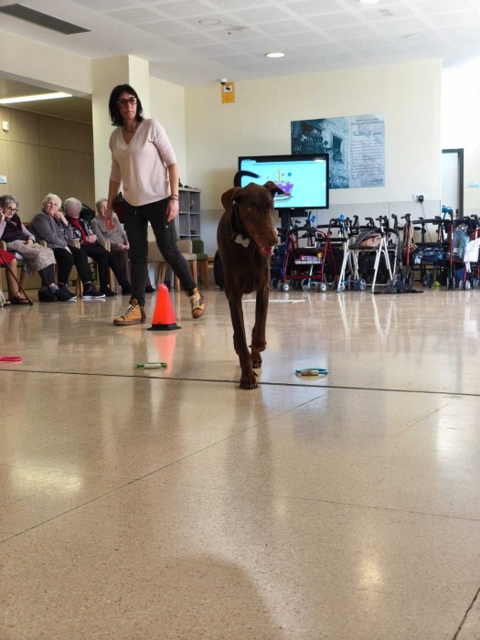 Taller Caní dlvr.it/TR7l44