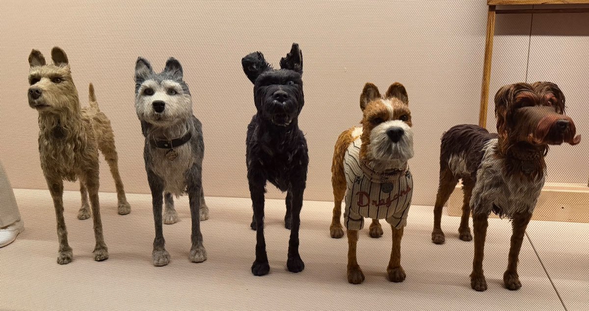 Macefield tweet media