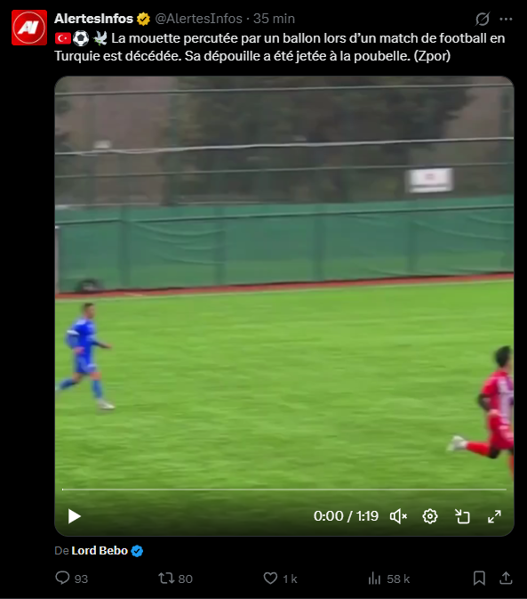 🇫🇷Clément🇫🇷 tweet media