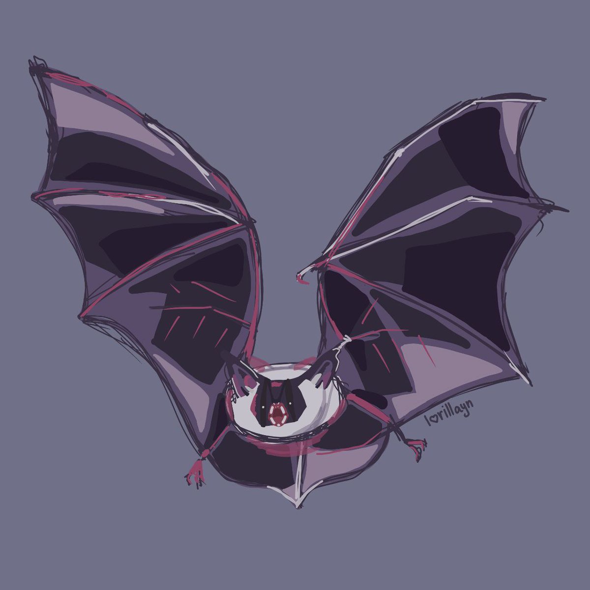 ли́са лориллейн tweet media