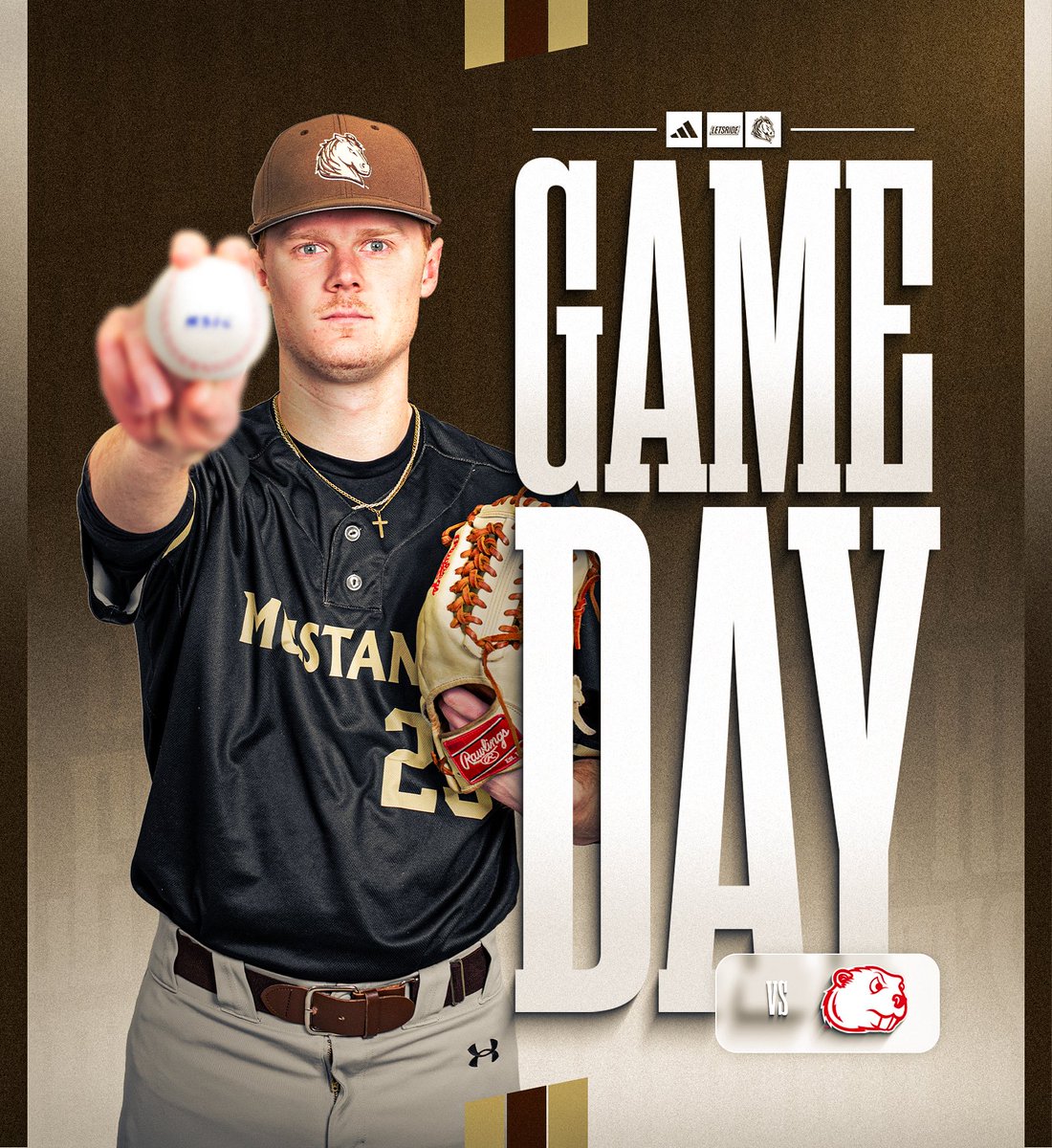 SMSU Baseball tweet media