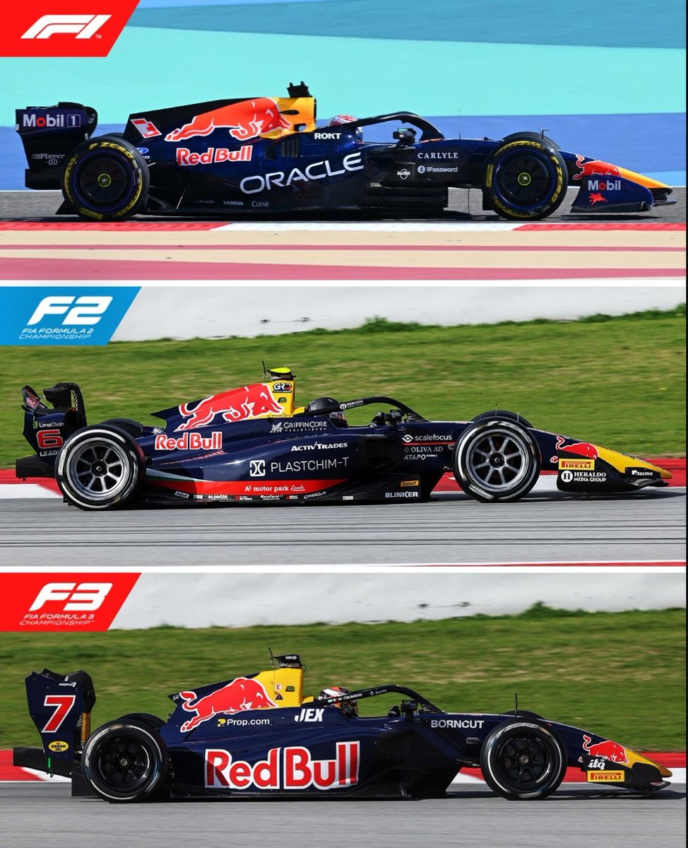 🐂 | RED BULL RACING TEAM.

🟠 F1: Max Verstappen. 🇳🇱
🔴 F2: Nikola Tsolov. 🇧🇬
🔵 F3: Mattia Colnaghi. 🇦🇷