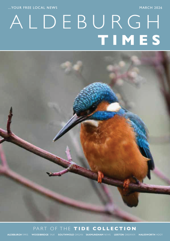 Tide Collection tweet media