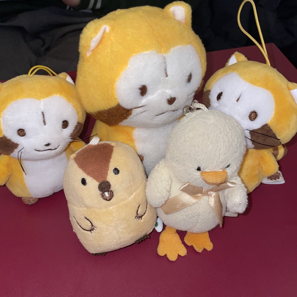 久しぶりさん多くて嬉しかったな〜🥲みんな、私のこと忘れていなくて