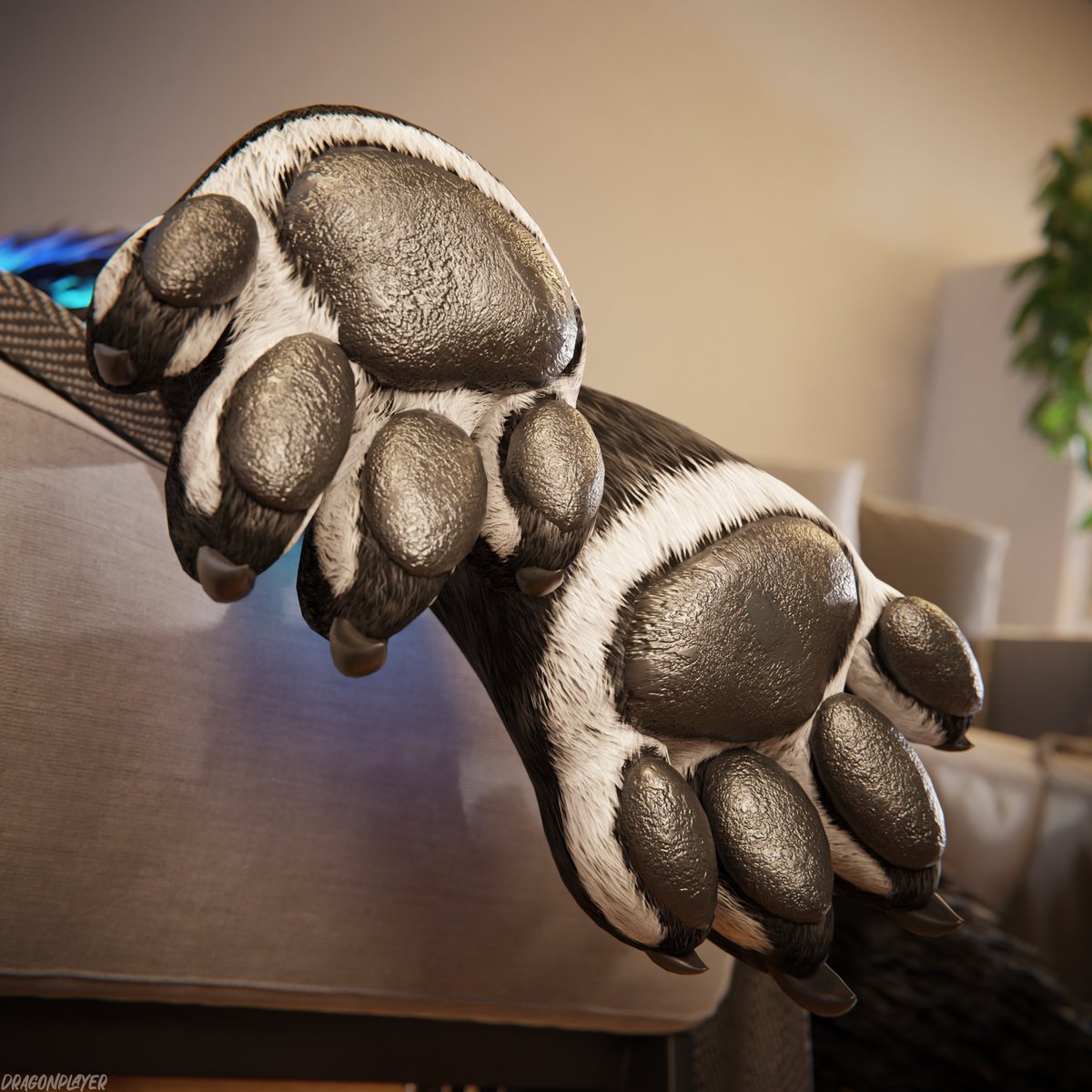 DragonPlayer tweet media