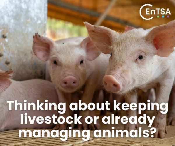 Trading Standards tweet media