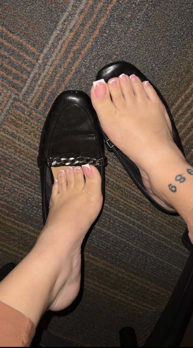 August Li 🌻 tweet media