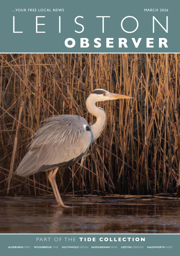 Tide Collection tweet media