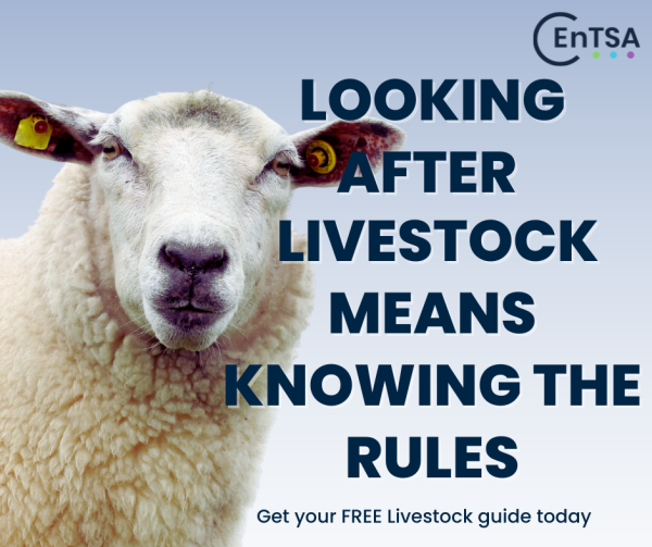 Trading Standards tweet media