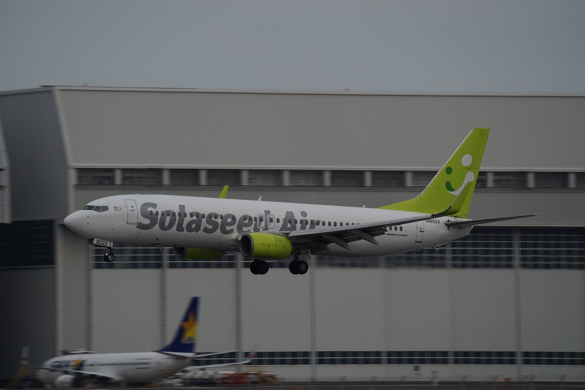 N829AN B787-9 アメリカン航空 JA802X B737-800 ソラシド エア JA09XJ