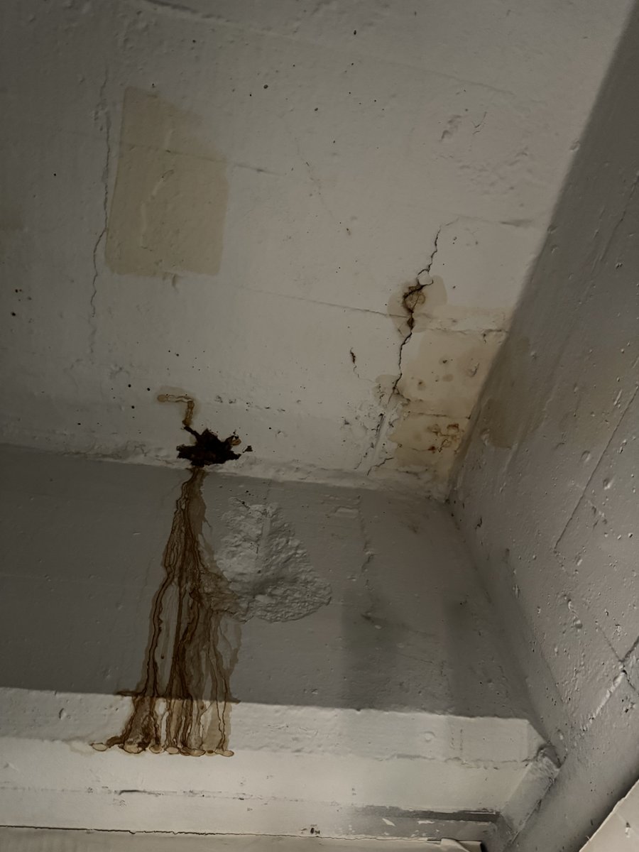 Margaret Joyce tweet media