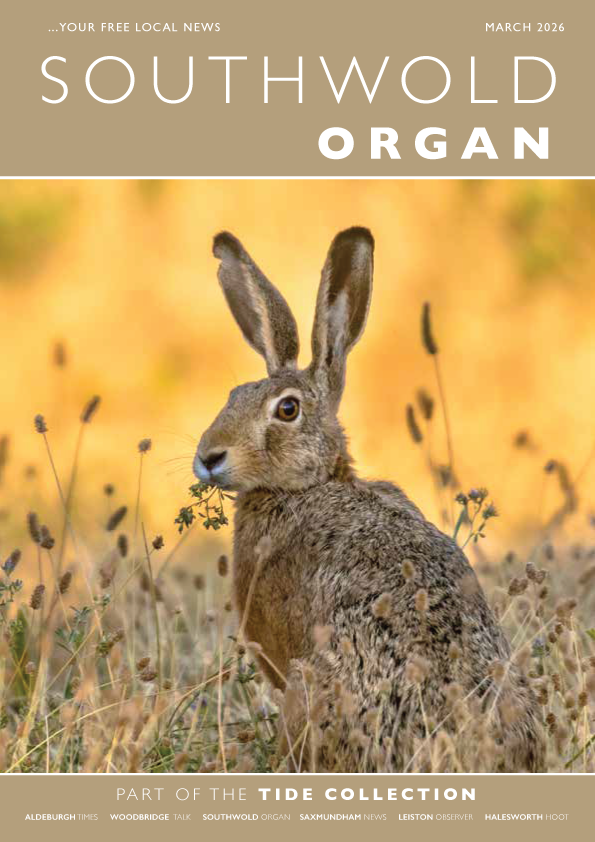 Tide Collection tweet media