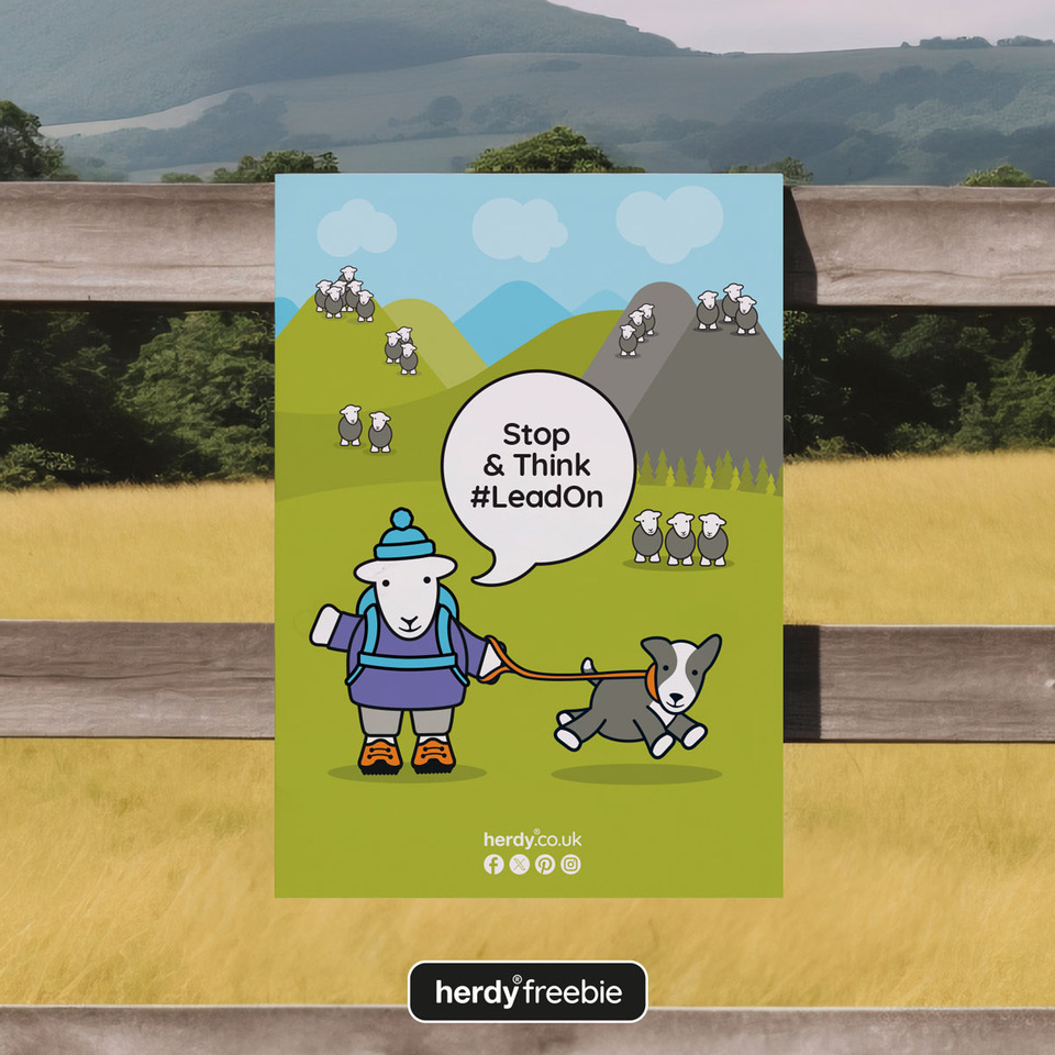 HerdyUK's tweet photo. 🐑 Let's #LeadOn Together 🐕
We’re proud to support the Lead On campaign, raising awareness about the importance of keeping dogs on leads around livestock.
It’s not just about protecting sheep &amp; lambs—it's about keeping your dog safe too.
https://t.co/pevp48w8M3

#CountrysideCode https://t.co/rFy0BQCid1