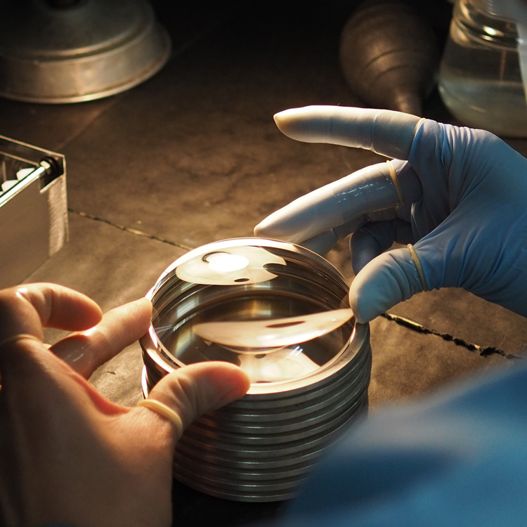 Kowa Sporting Optics tweet media