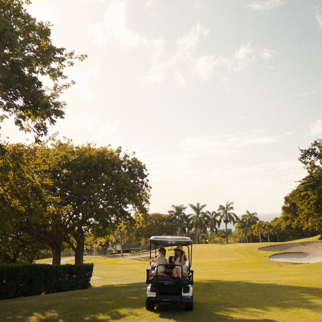 FSNevis's tweet image. At #FSNevis, even a simple stroll can turn into something extraordinary. In the evenings, families are greeted by Nevis’ beloved green vervet monkeys playfully moving through the trees on our golf course.