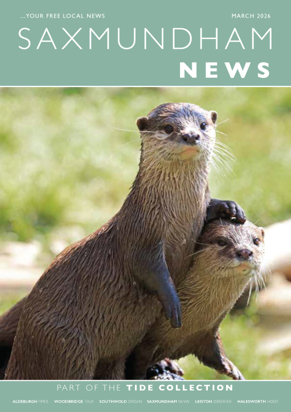 Tide Collection tweet media