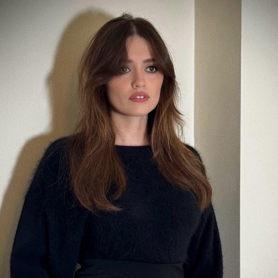 Film Updates tweet media