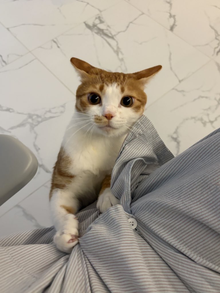 곧 귀로 날아가겄어