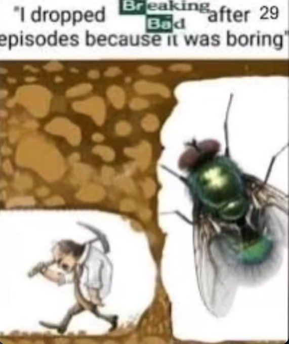 RealestMemes tweet media