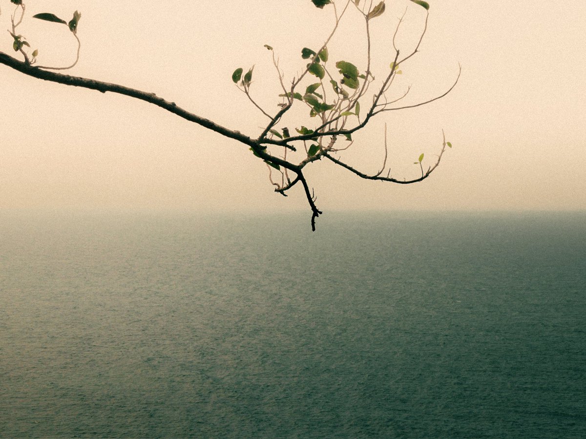 atharva. tweet media