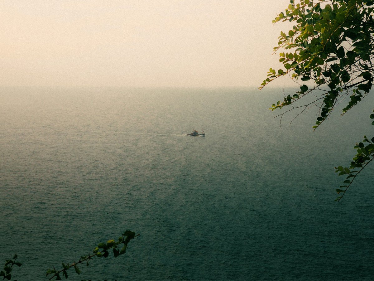 atharva. tweet media