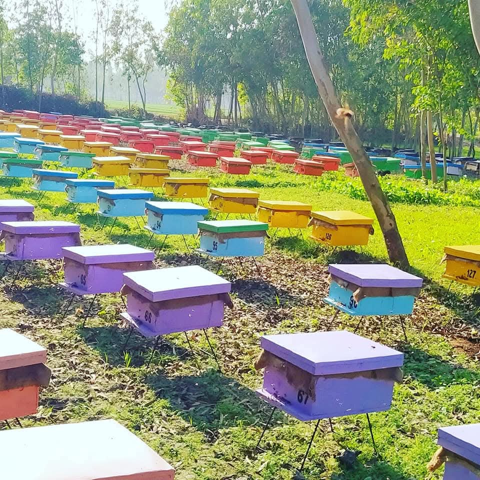 🍯FaBA🐝 फाबा tweet media