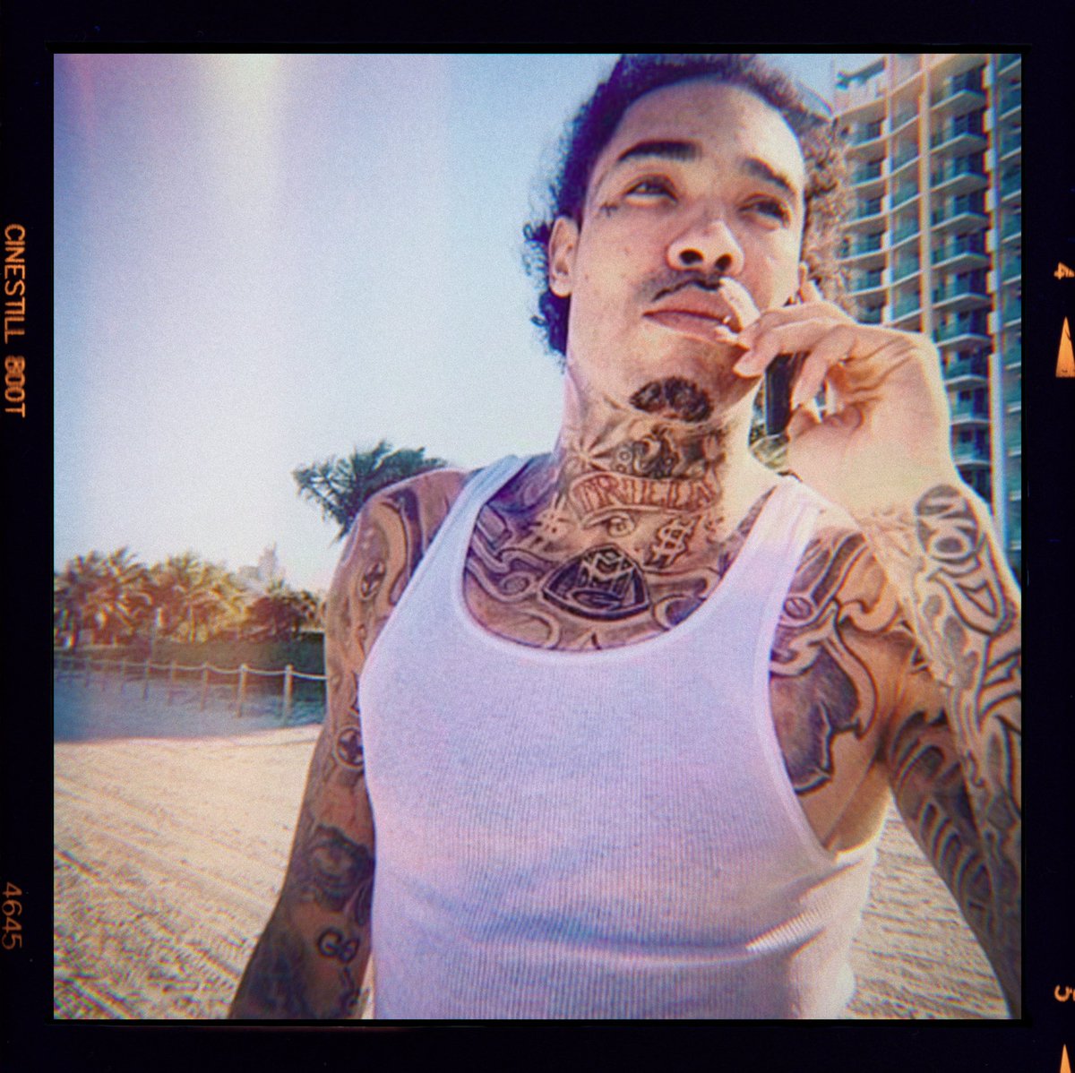 bal des ardents survivor⛓️🗡️ tweet media