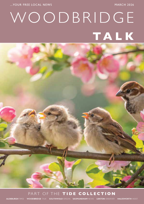 Tide Collection tweet media