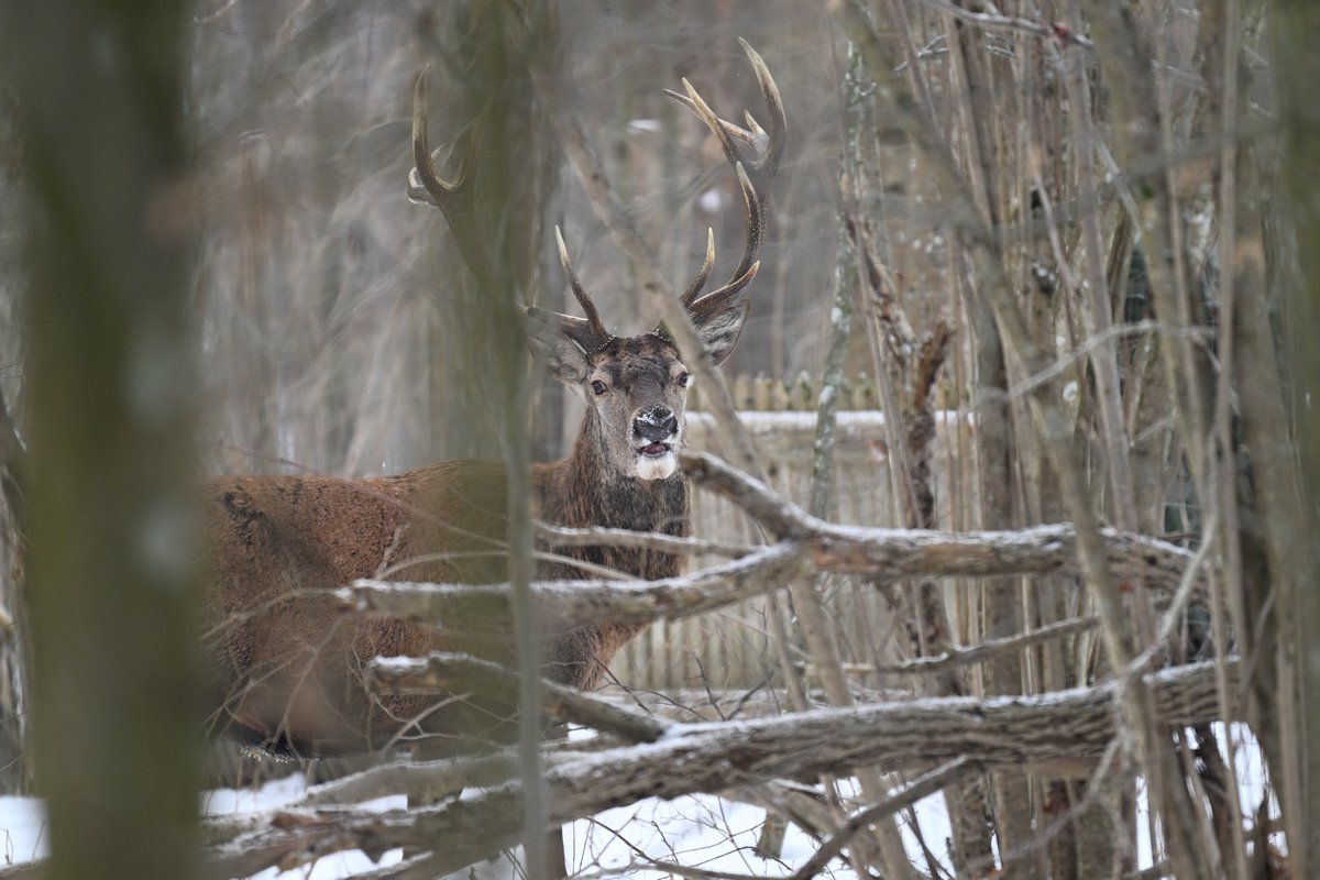 Oliwier Myka tweet media