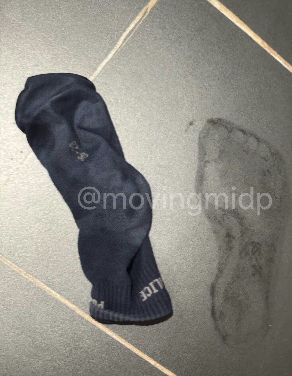 蓝天🇨🇳 tweet media