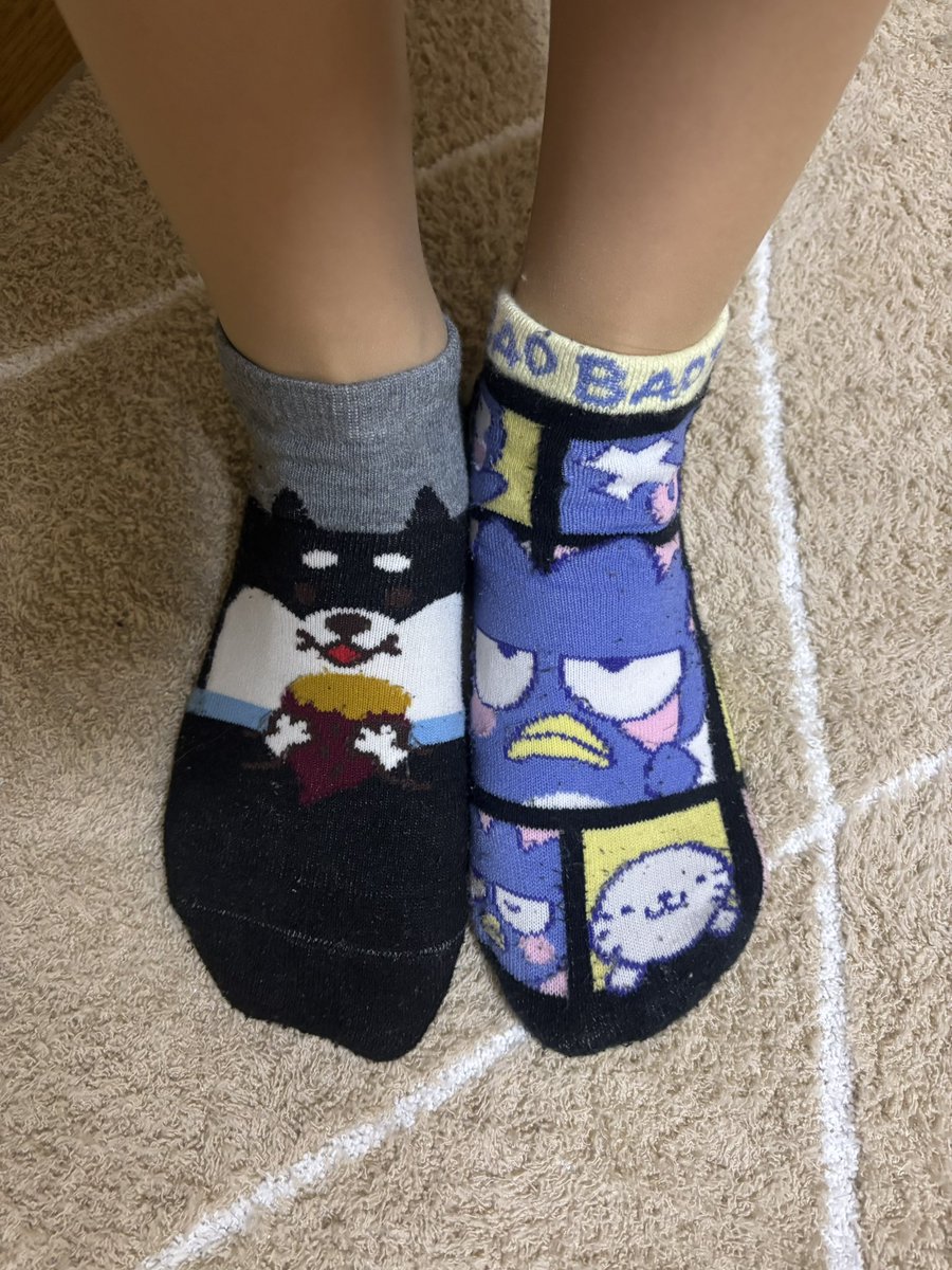 Nami🦒🐶🌻 (@Nami12212022) / Posts / X