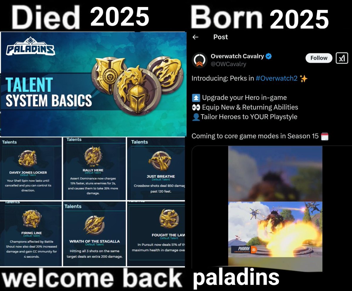 Tiberius, the Weapons Master 🐯 tweet media