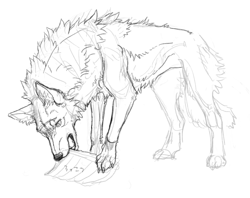 ナンバリング没ぇ… 