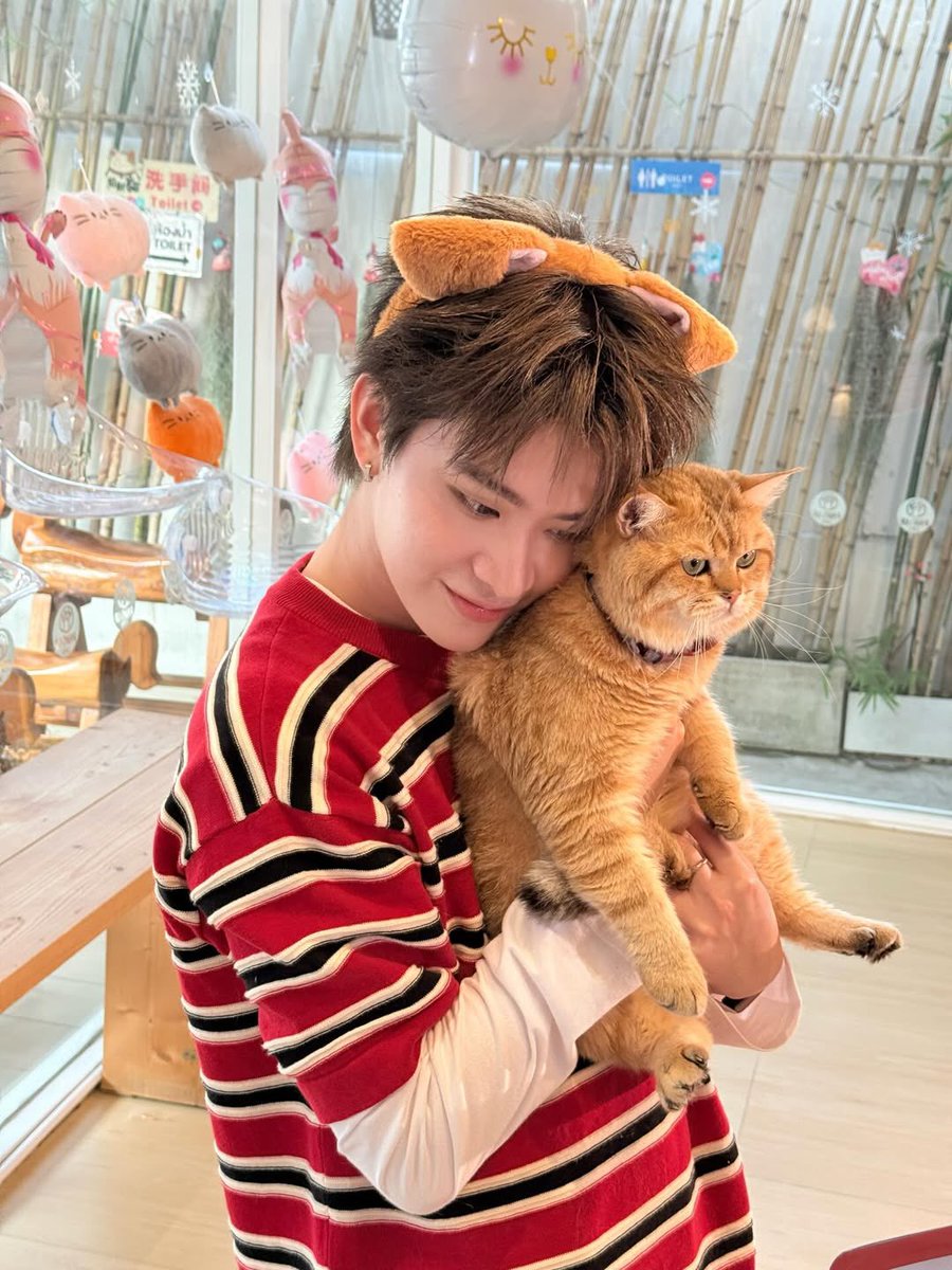 💙————— bePROUD tweet media