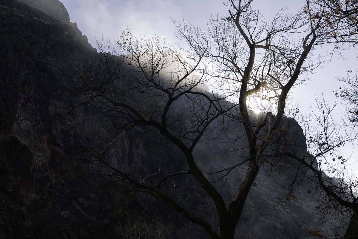 Oliver Dahl tweet media