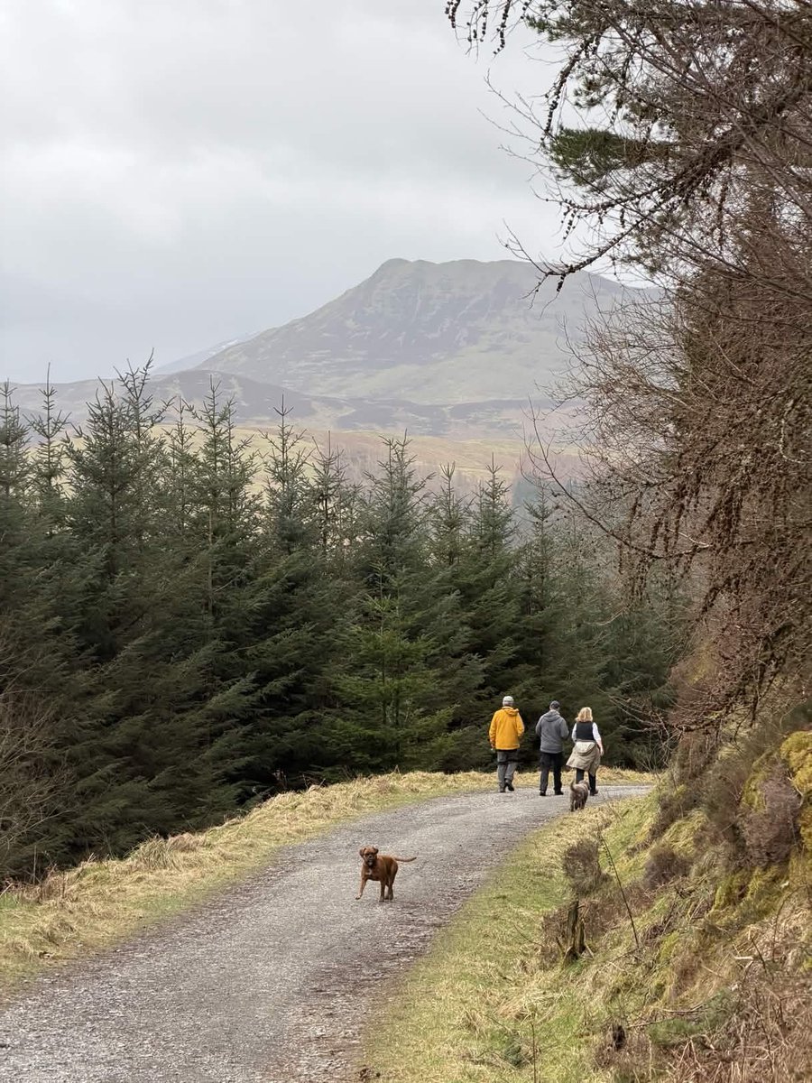 Postcard from Britain tweet media