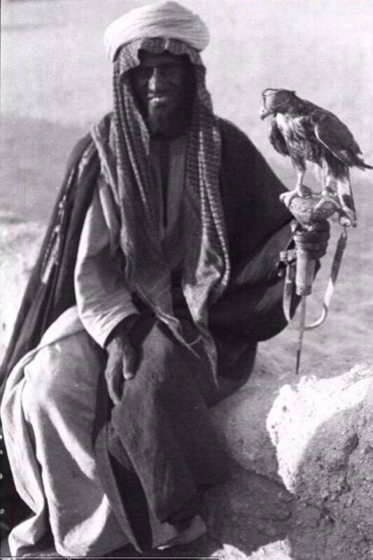 المحاورات 🇰🇼 tweet media