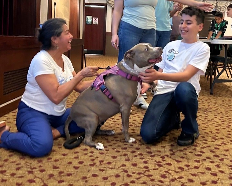 Barrio Dogs, Inc. tweet media