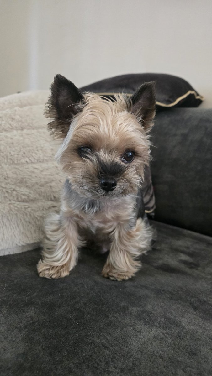 Ewa Szymanowska tweet media