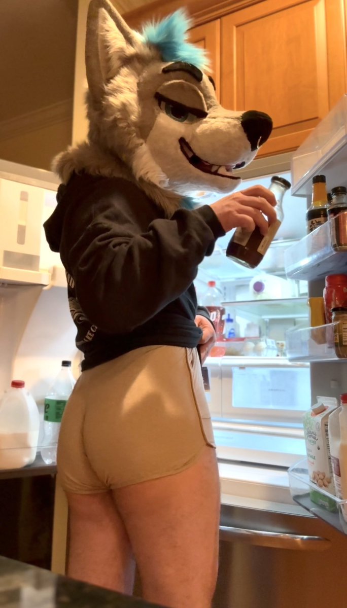 get this dog out of my fridge bro wtf