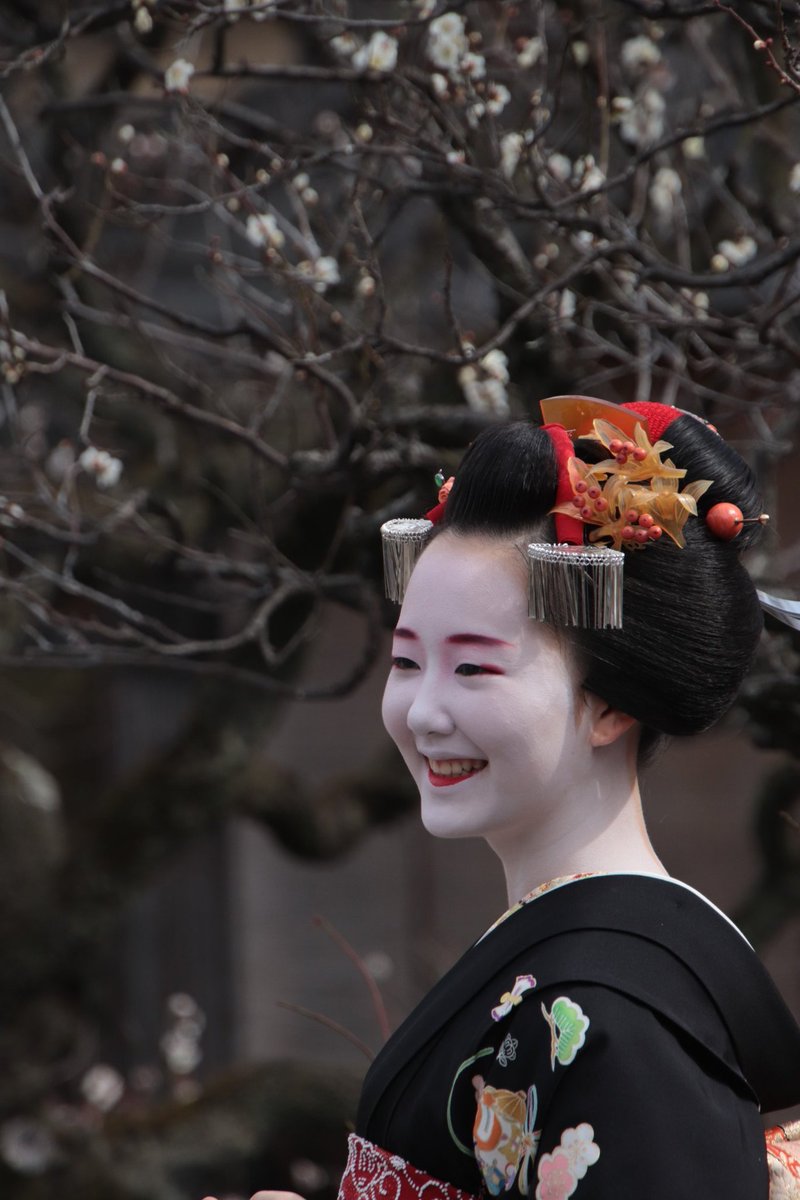 Geiko&Maikonews (@GeikoMaiko) / Posts / X